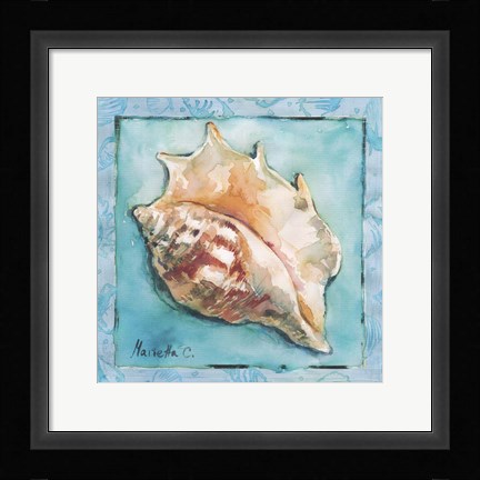Framed Shell 3 Print