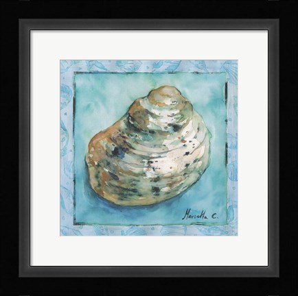 Framed Shell 4 Print