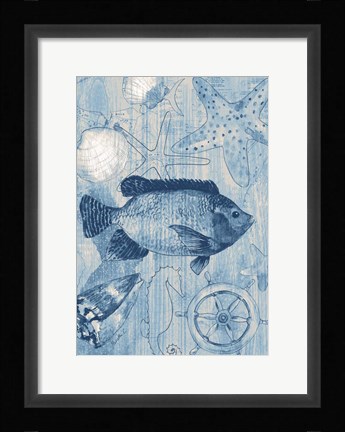 Framed Coastal II Blue Print