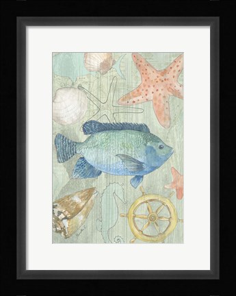 Framed Coastal II Print