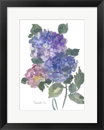 Framed Hidragenia 1 Print