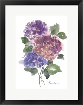 Framed Hidragenia 2 Print