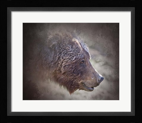 Framed Grizzly Bear Boar Print