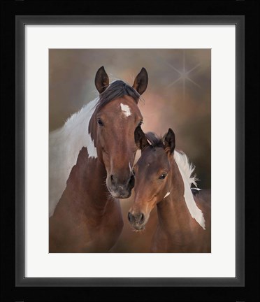 Framed S'more &amp; Chippewa - S Steens Mustangs Print