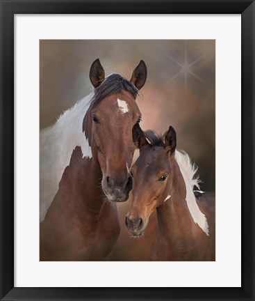 Framed S&#39;more &amp; Chippewa - S Steens Mustangs Print