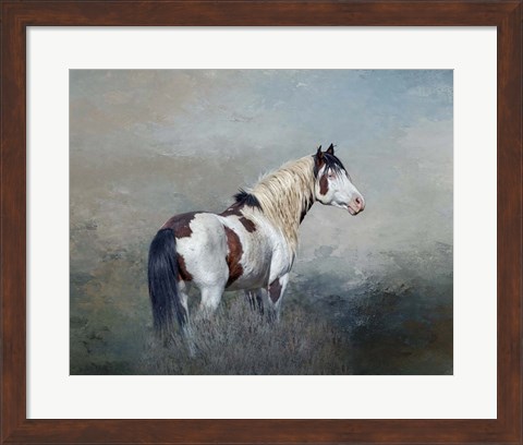 Framed Shaman - S Steens Wild Stallion Print