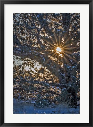 Framed New Years Steens Mountain Sunrise Print