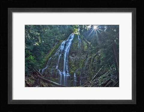 Framed Lower Proxy Falls Print