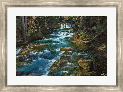 Framed McKensie River Print
