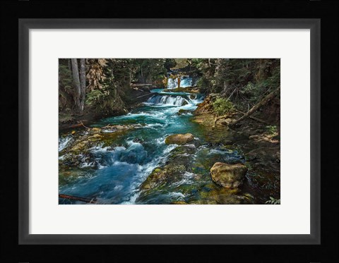Framed McKensie River Print