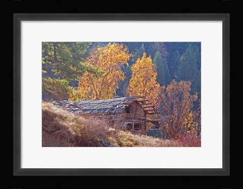 Framed North Fork Cabin Print