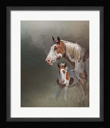 Framed Chinook &amp; Her Foal Print
