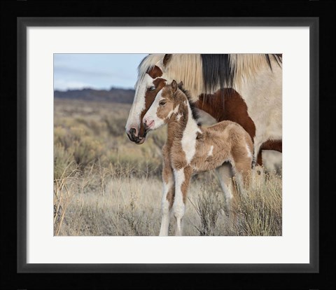 Framed Lady Braveheart &amp; Filly Print