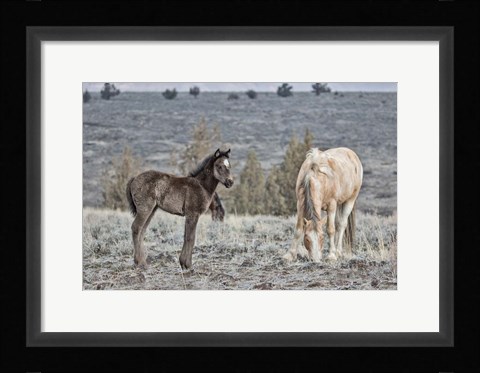Framed Precious and Dad (Casper) Print