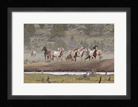 Framed Ditto-Galileo Band Print