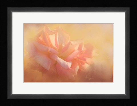 Framed Light is Life Print