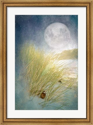 Framed Moonlight Beach Print