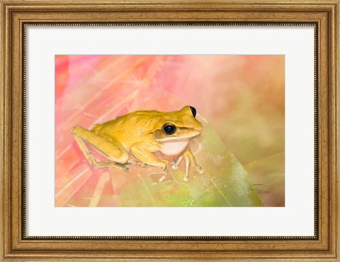 Framed Waiting for Lunch Print