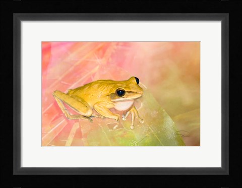 Framed Waiting for Lunch Print