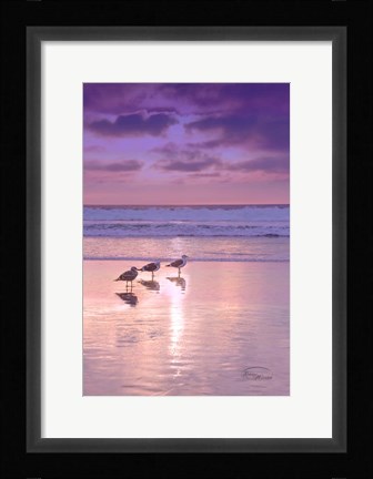 Framed Seagull Beach II Print