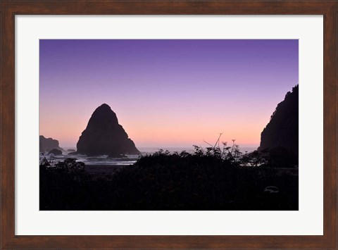 Framed Whaleshead Beach Print