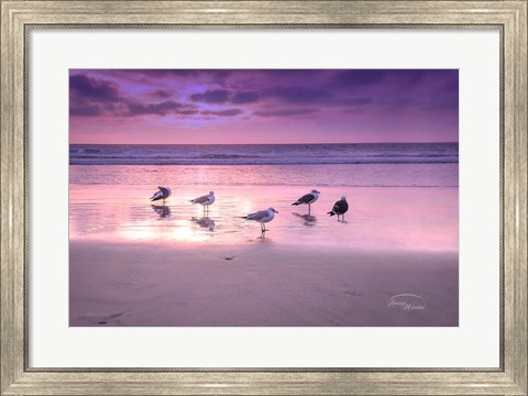 Framed Seagull Beach I Print