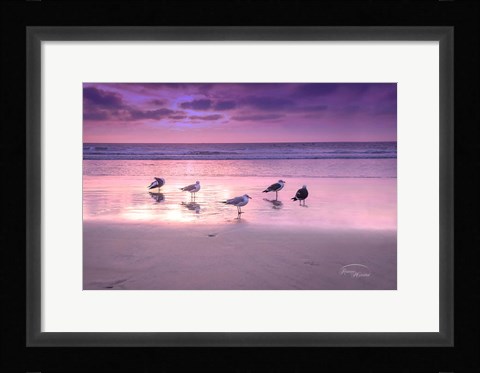 Framed Seagull Beach I Print