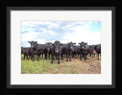 Framed Bad Boys Print