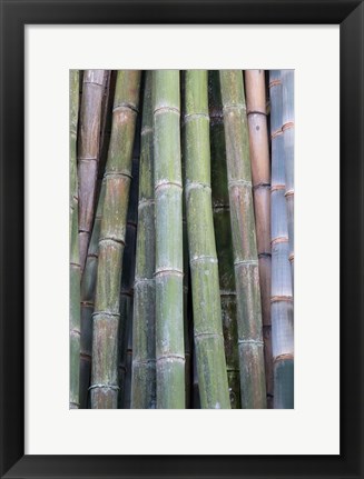 Framed Bamboo Fence Print