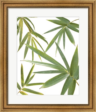 Framed Bamboo Collage Print