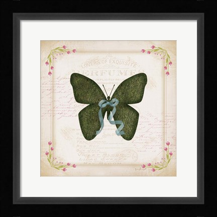 Framed Butterfly Print