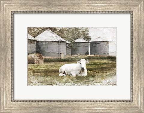 Framed White Cow Print