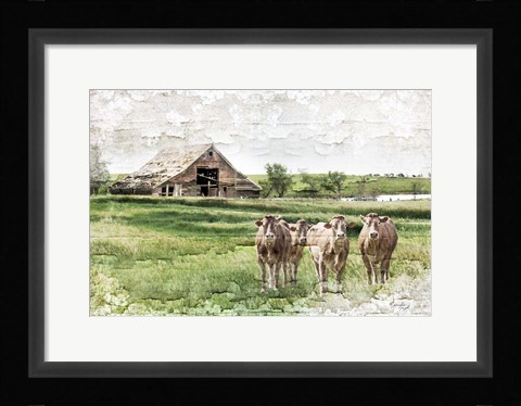 Framed Cows Print