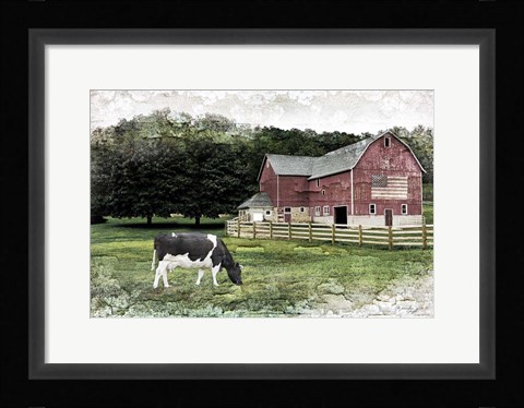 Framed Cow Print