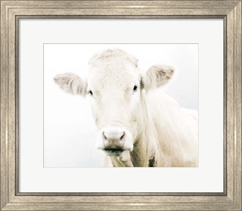 Framed Cow II Print