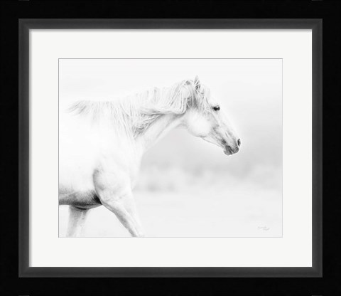 Framed Horse Print