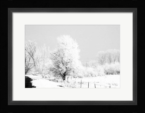 Framed Winter Scene Print