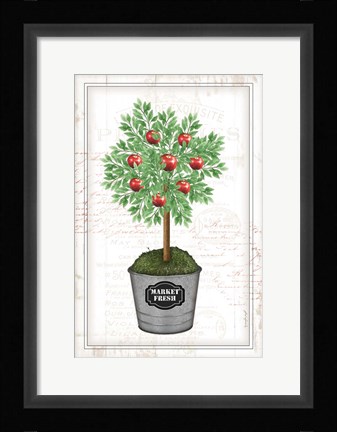 Framed Apple Topiary Print