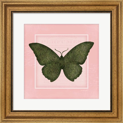 Framed Butterfly II - Pink Print