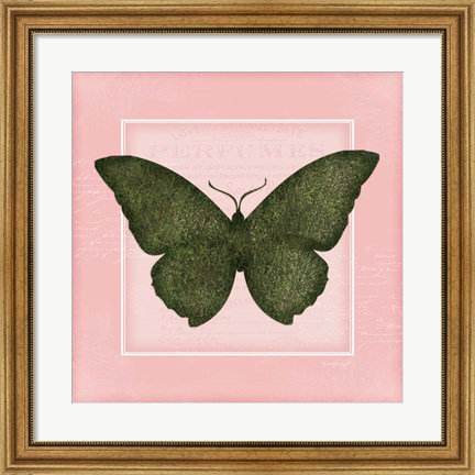 Framed Butterfly II - Pink Print