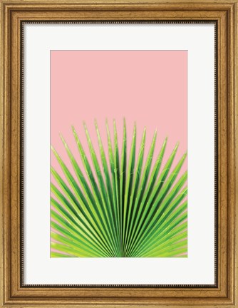 Framed Pink Palm I Print