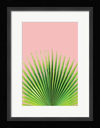 Framed Pink Palm I Print