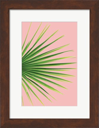 Framed Pink Palm III Print