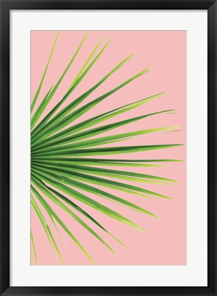 Framed Pink Palm III Print