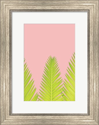 Framed Pink Palm IV Print