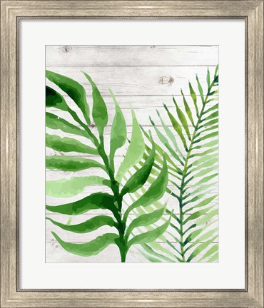 Framed Banana Leaf II Print