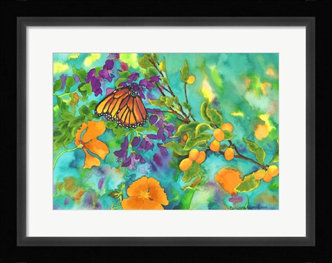 Framed California Monarch Print