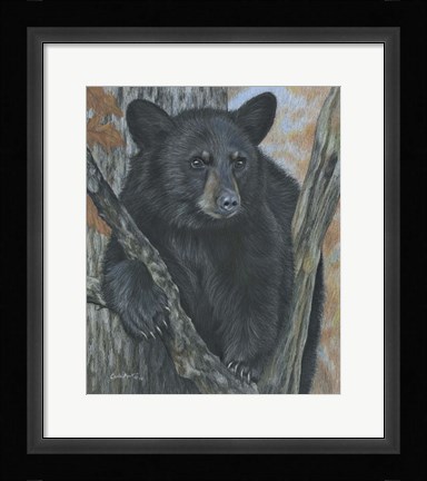 Framed Backyard Visitor Print