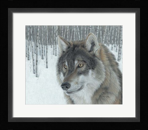 Framed Wolf in Aspens Print