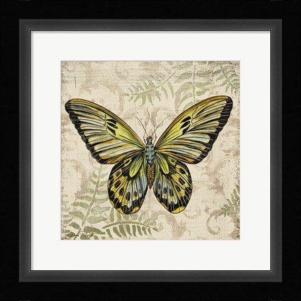 Framed Butterfly Daydreams - A Print